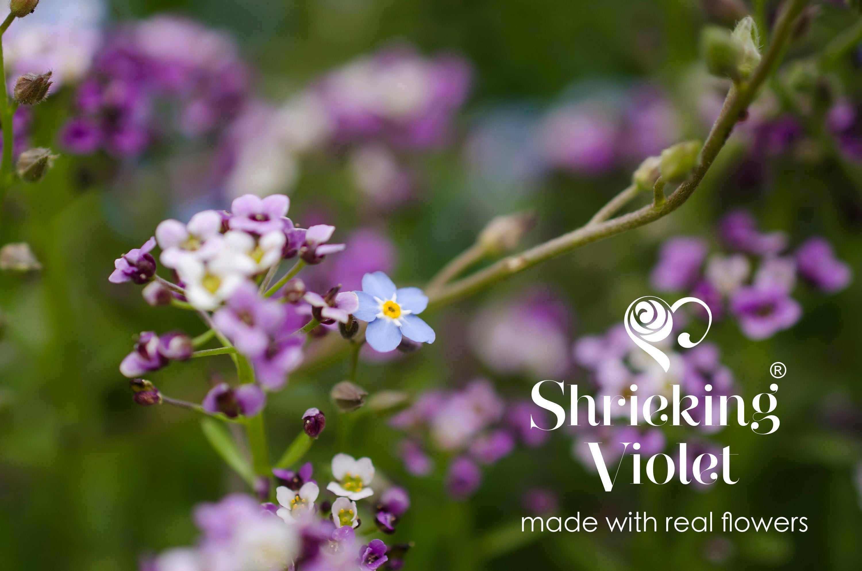 Cat necklace with real flowers by Shrieking Violet. Perfect gift for